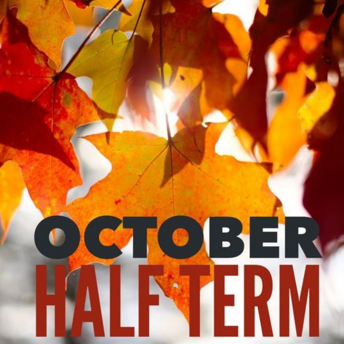 Queensmead Primary Academy October Half Term