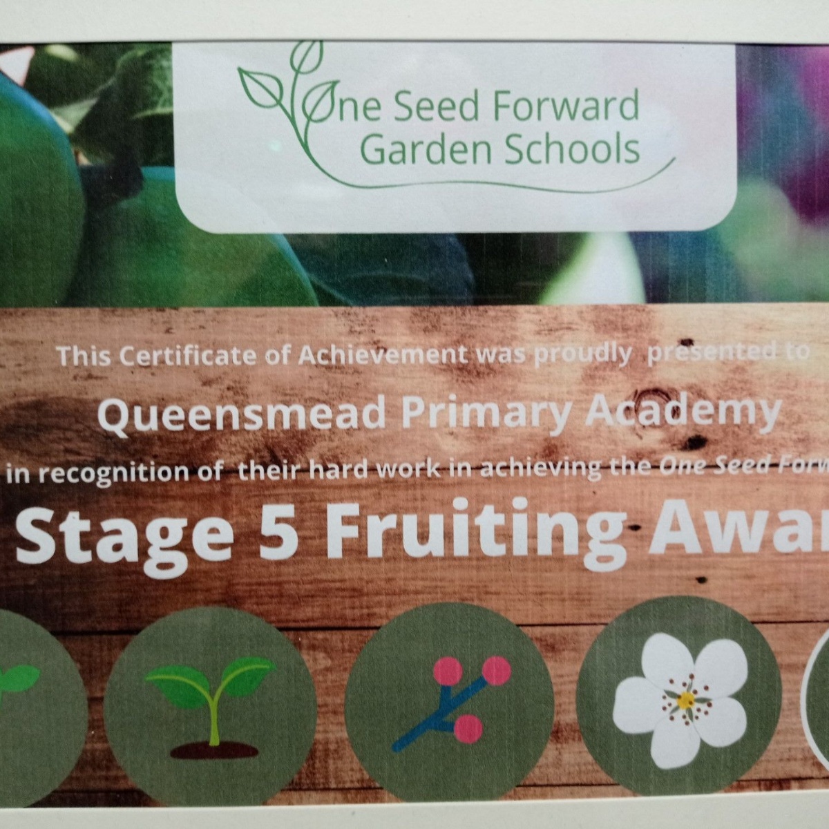 Queensmead Primary Academy - Another Amazing Award!